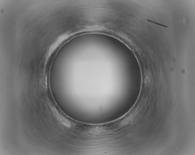 X0000078271414200611251342