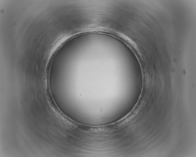 X0000078271415200611251342