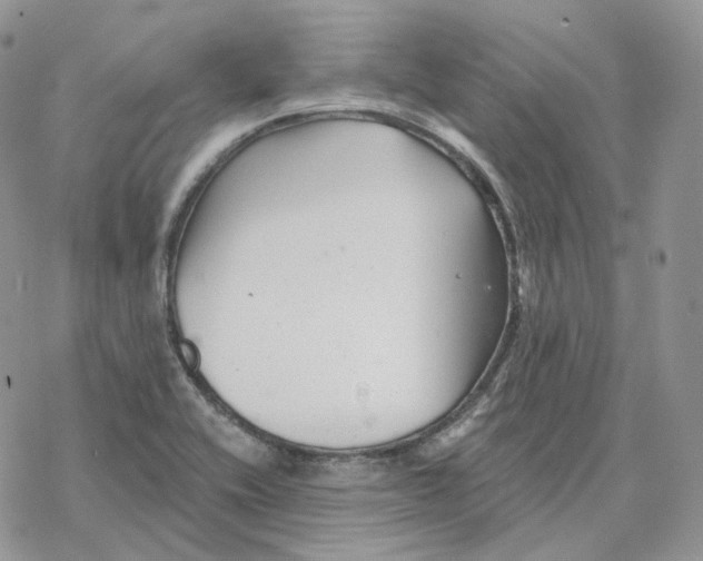 X0000078271416200611251342