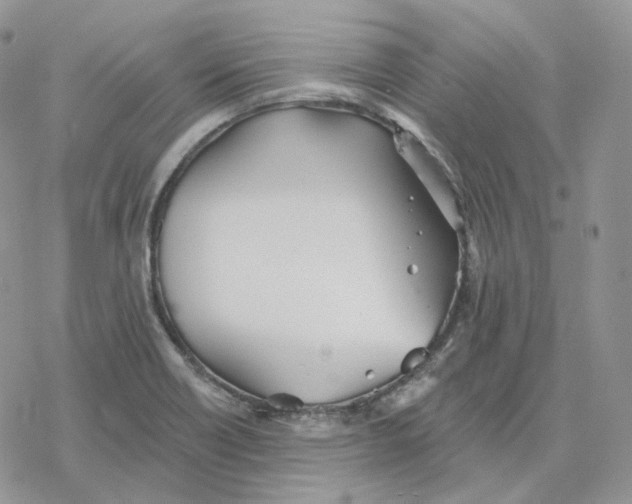 X0000078271418200611251342