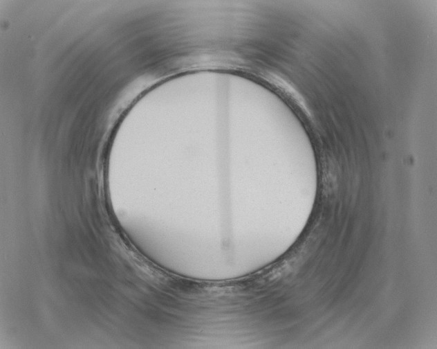 X0000078271419200611251342