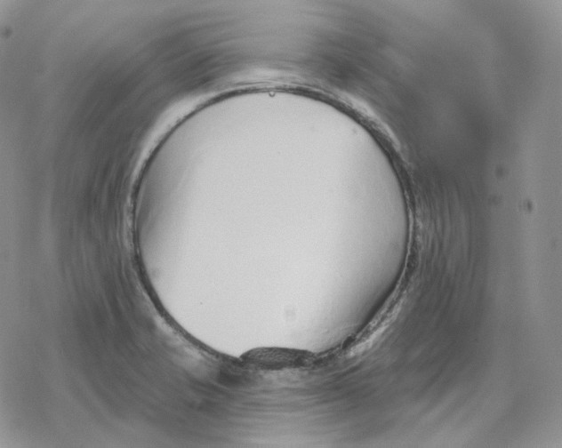 X0000078271421200611251342