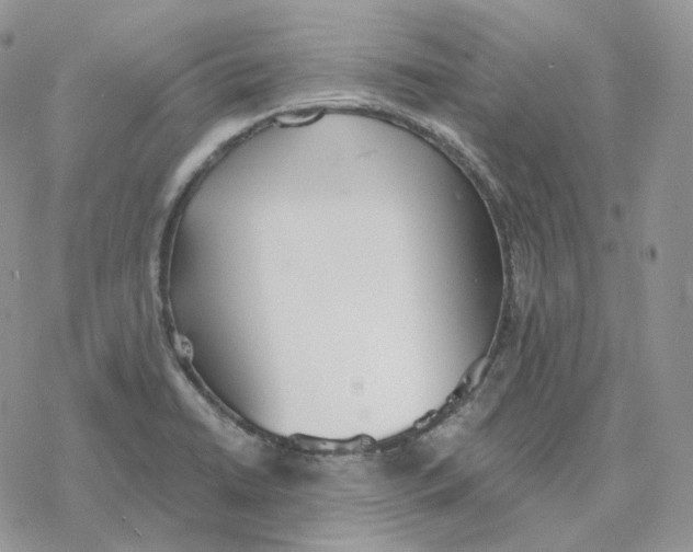 X0000078271422200611251342