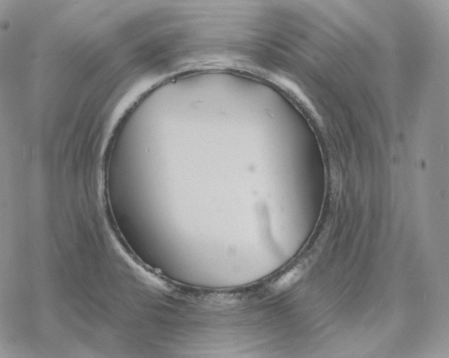 X0000078271424200611251342