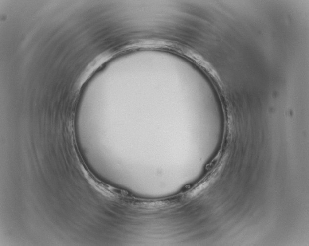 X0000078271425200611251342