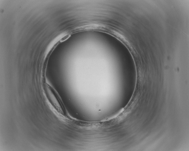 X0000078271426200611251342