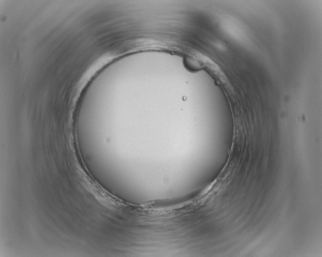 X0000078271427200611251342