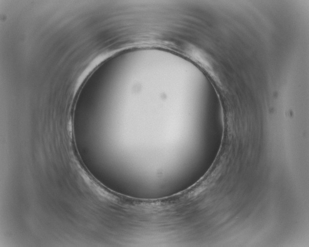 X0000078271428200611251342