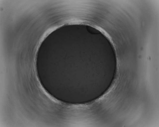 X0000078271429200611251342