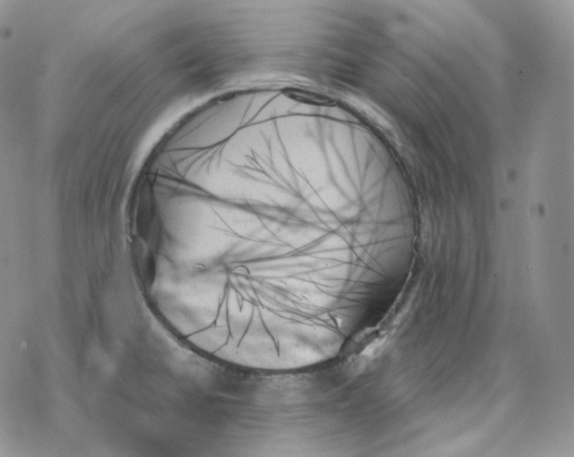 X0000078271430200611251342