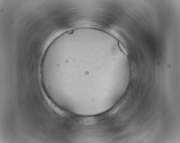 X0000078271431200611251342