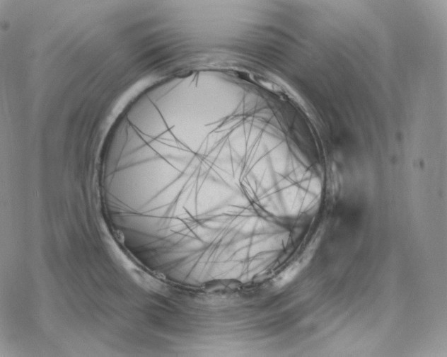 X0000078271434200611251342