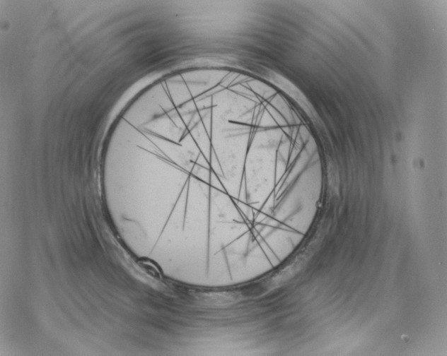 X0000078271436200611251342