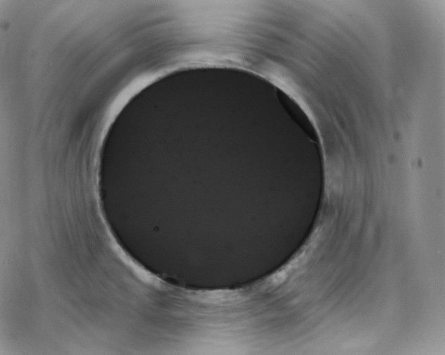 X0000078271437200611251342