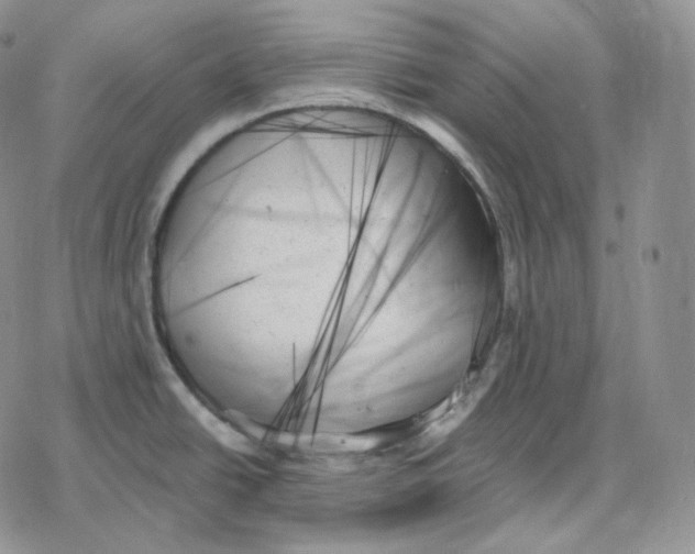 X0000078271438200611251342