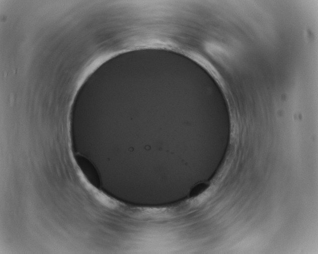 X0000078271439200611251342