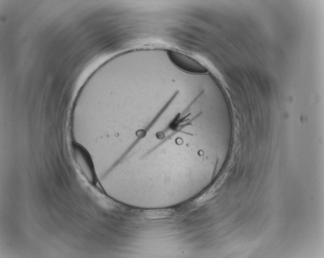 X0000078271440200611251342