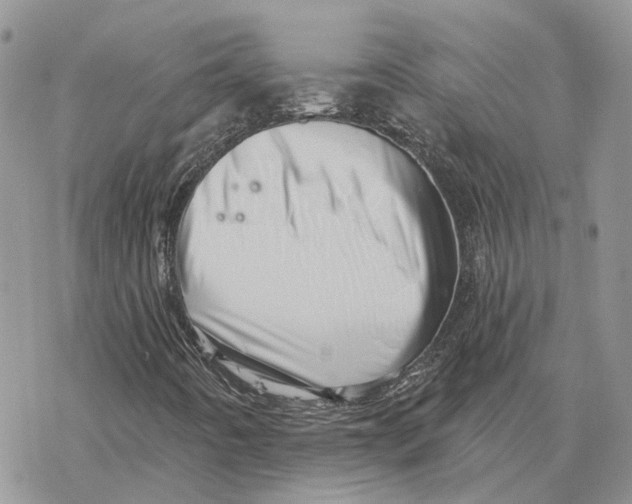 X0000078271442200611251341