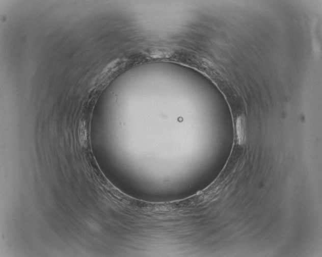 X0000078271443200611251341