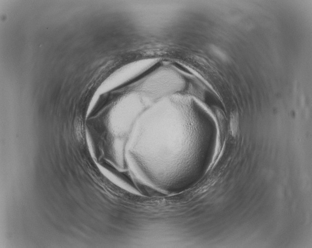 X0000078271444200611251341