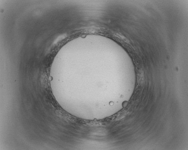 X0000078271446200611251341