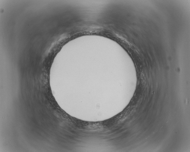 X0000078271447200611251341