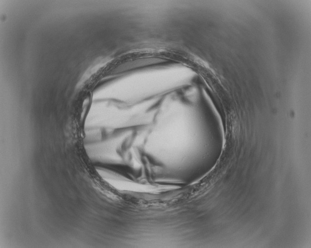 X0000078271448200611251341