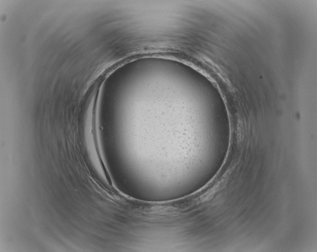 X0000078271449200611251341