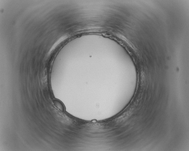 X0000078271450200611251341