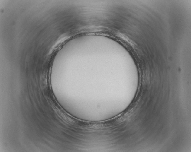 X0000078271451200611251341