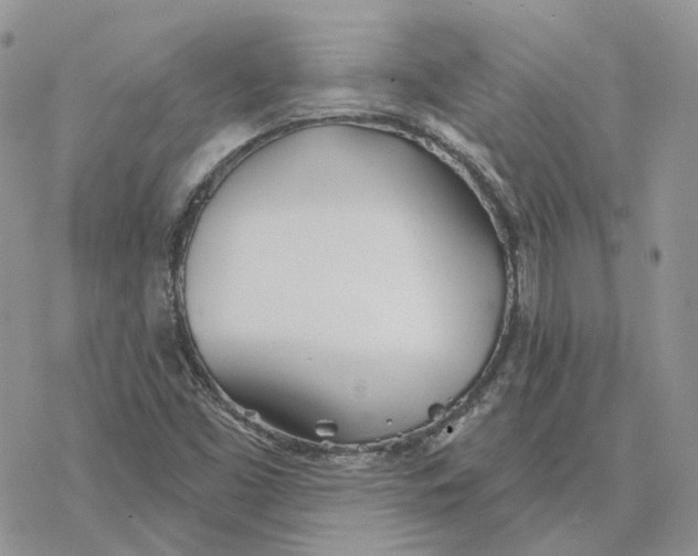 X0000078271453200611251341