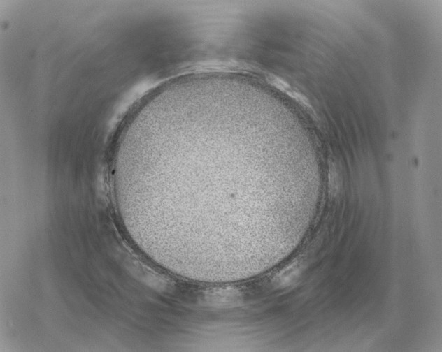 X0000078271454200611251341