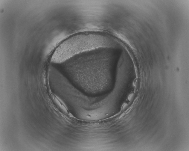 X0000078271455200611251341