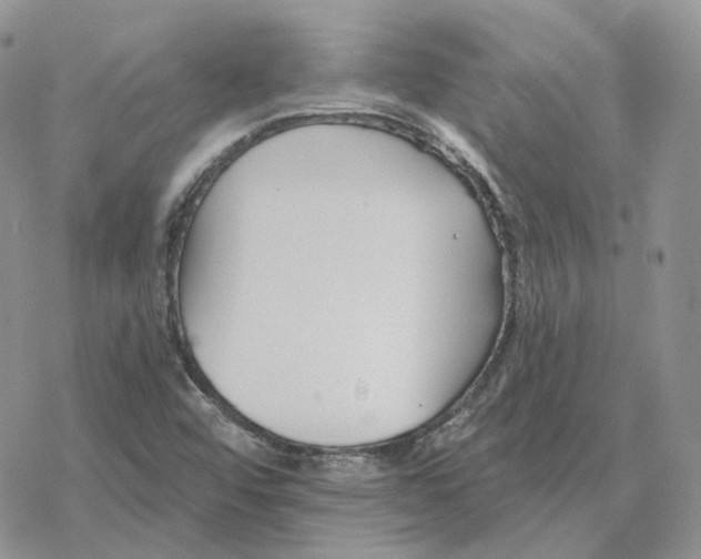 X0000078271456200611251341