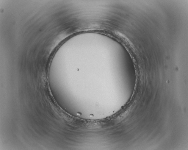 X0000078271457200611251341