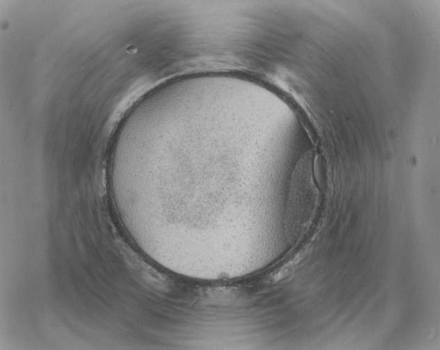 X0000078271459200611251341