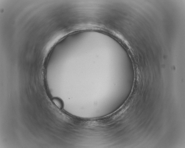 X0000078271463200611251341