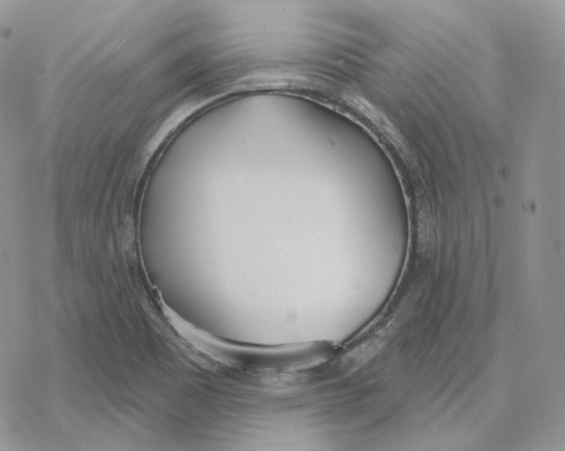 X0000078271465200611251341