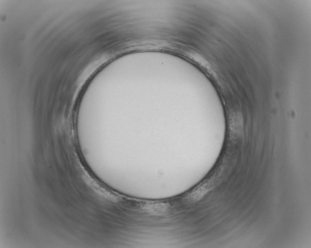 X0000078271466200611251341