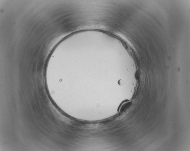 X0000078271468200611251341