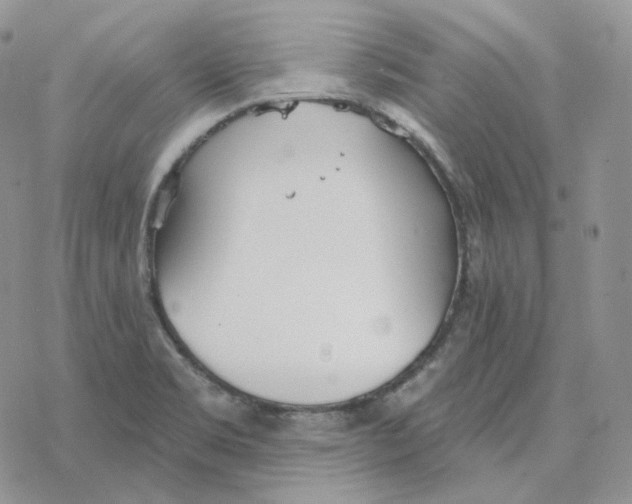 X0000078271469200611251341