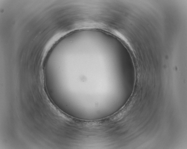 X0000078271472200611251341