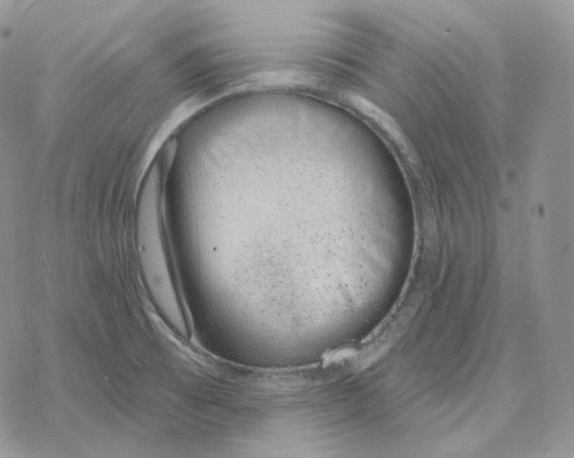 X0000078271473200611251341