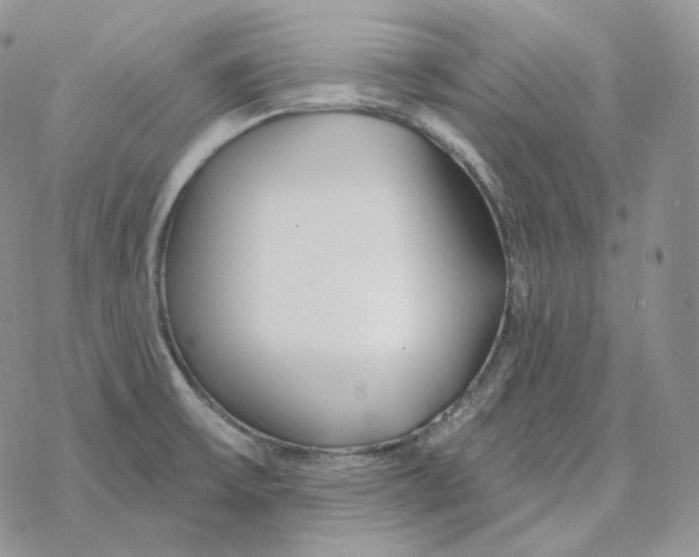 X0000078271475200611251341