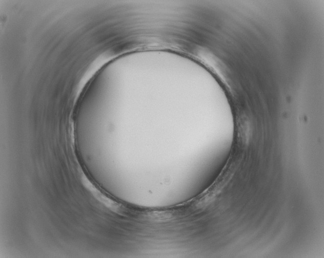 X0000078271476200611251341