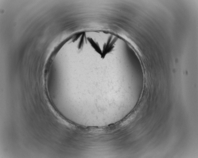 X0000078271477200611251341