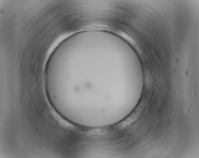 X0000078271478200611251341