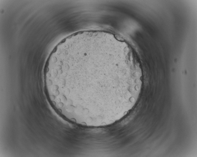 X0000078271479200611251341