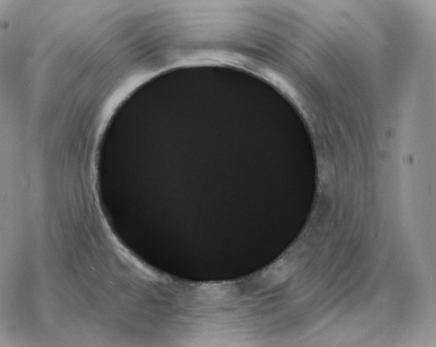 X0000078271480200611251341