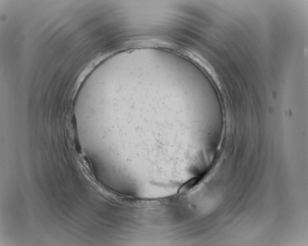 X0000078271481200611251341